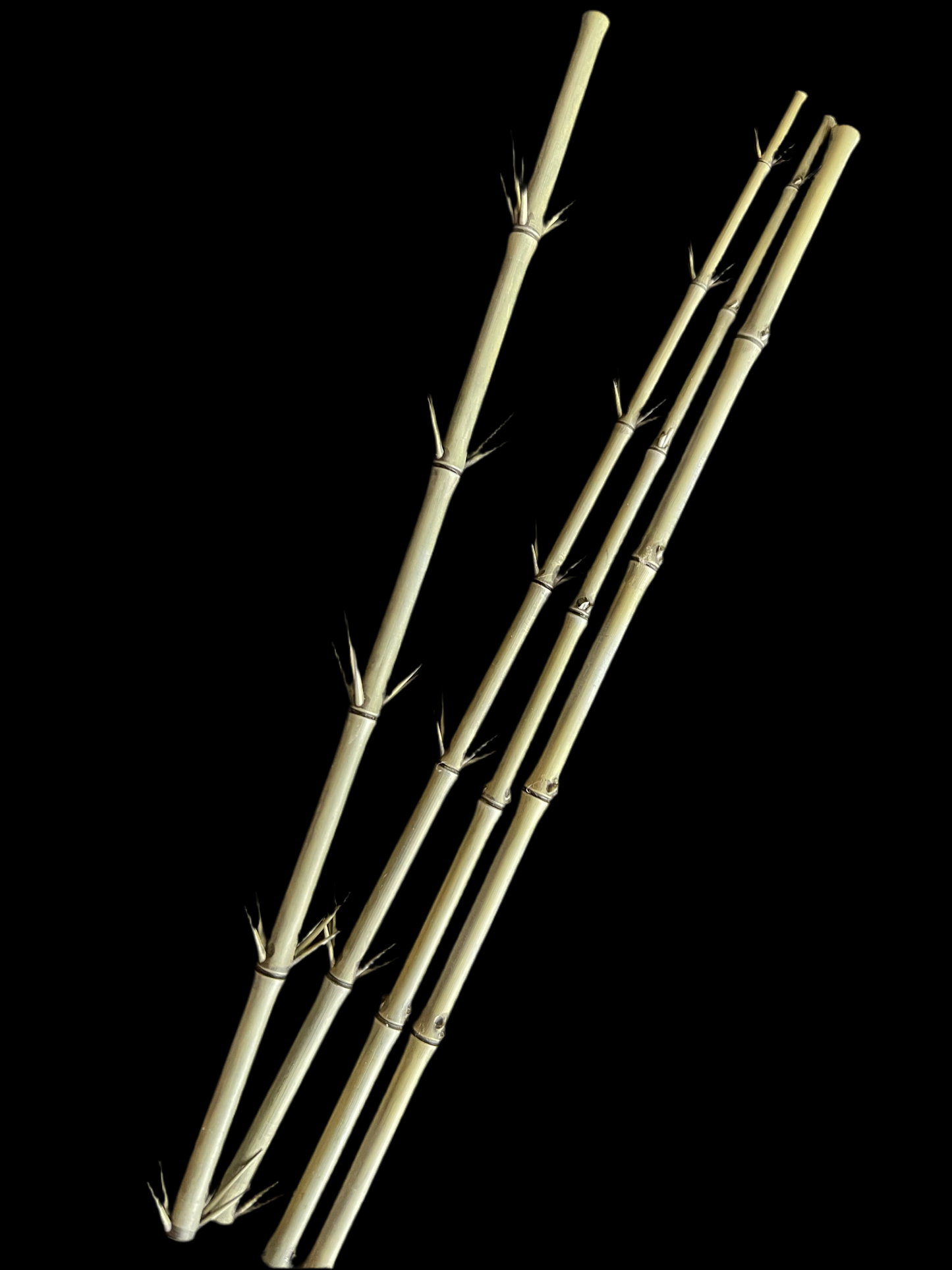 Bamboo Stalk Kit - 1/35