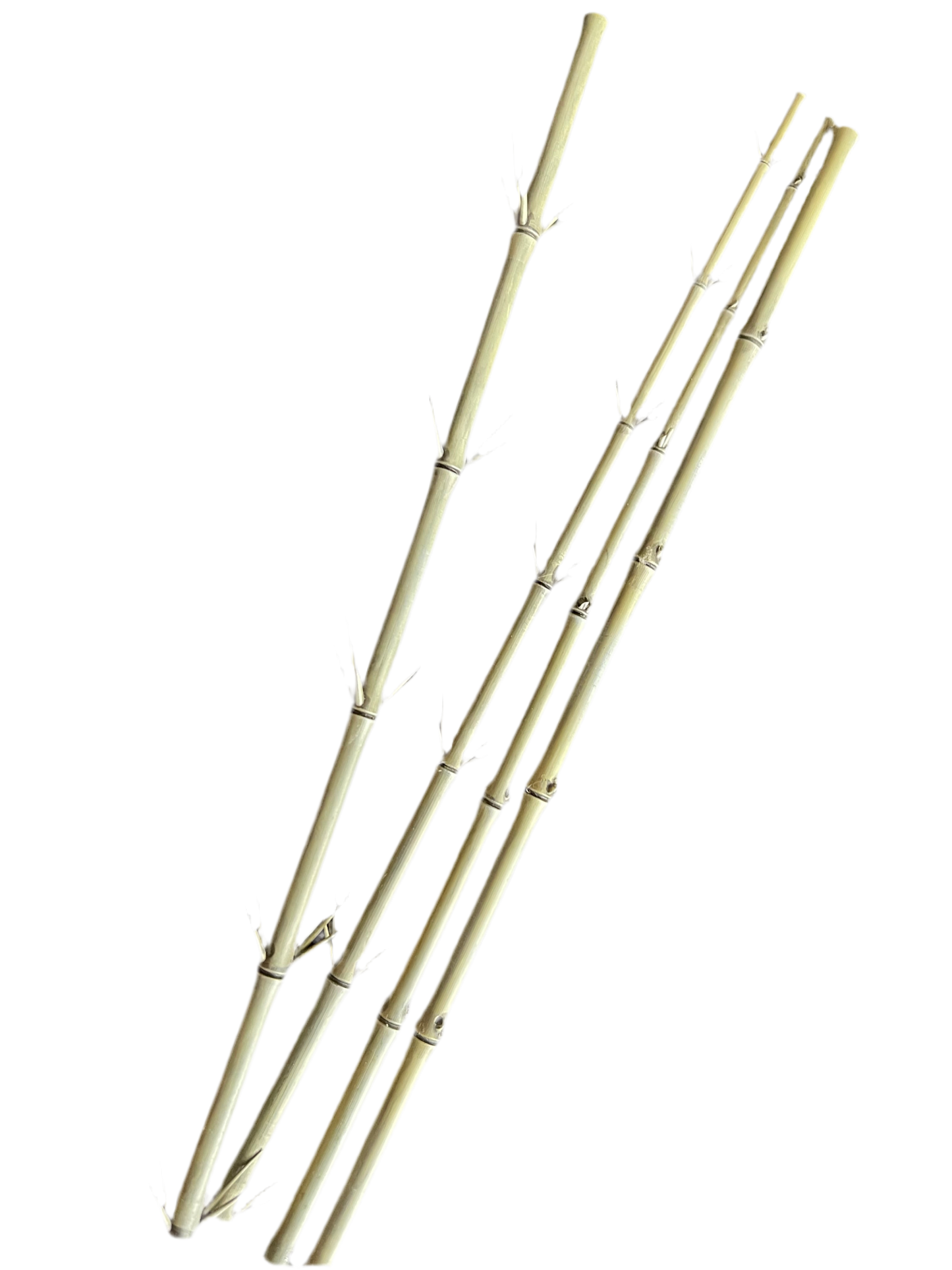 Bamboo Stalk Kit - 1/35