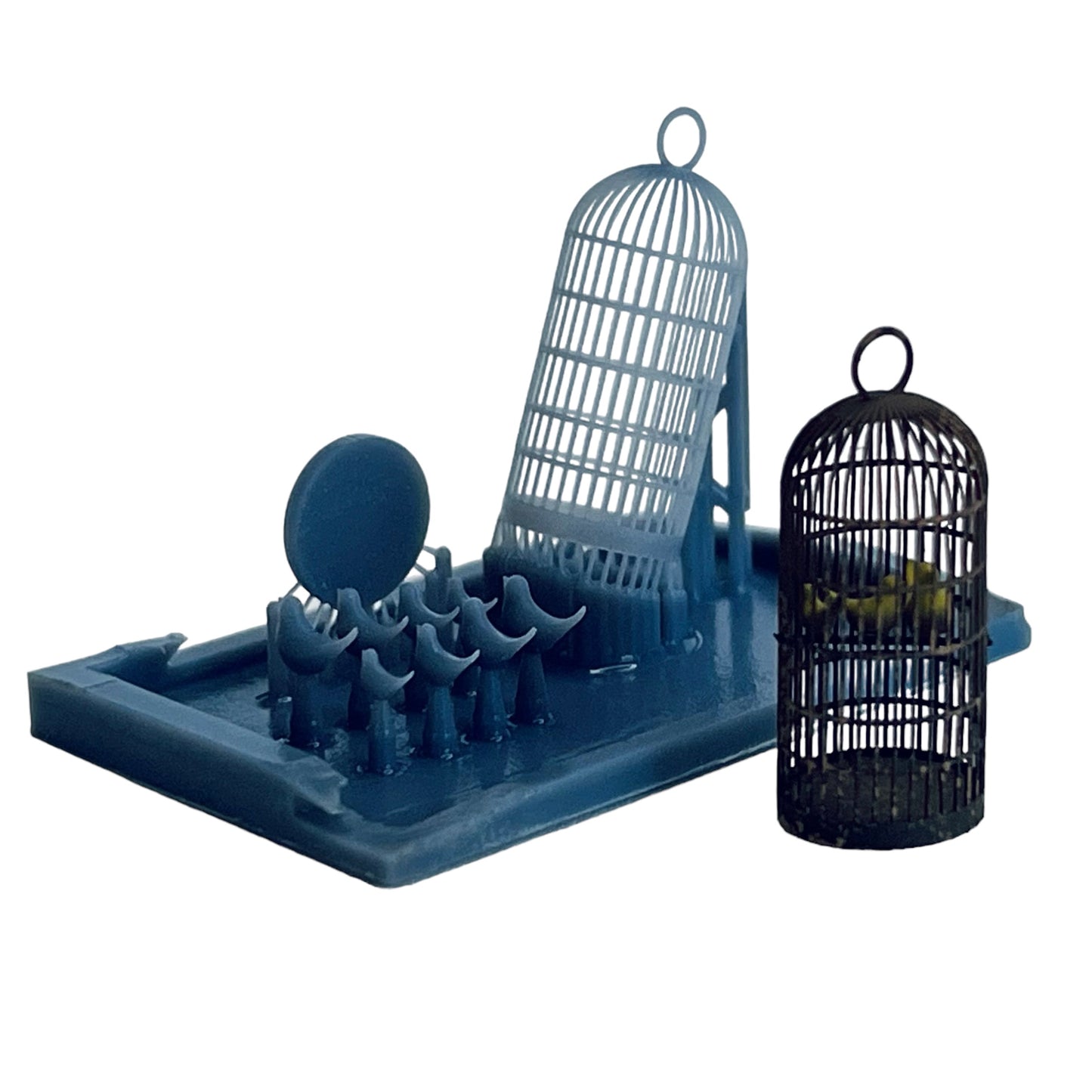 Vietnamese Singing Birds in Cages - 1/35