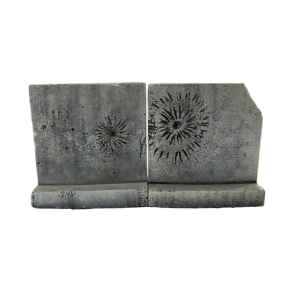 Texas T Barriers Battle Damage Set -1/35