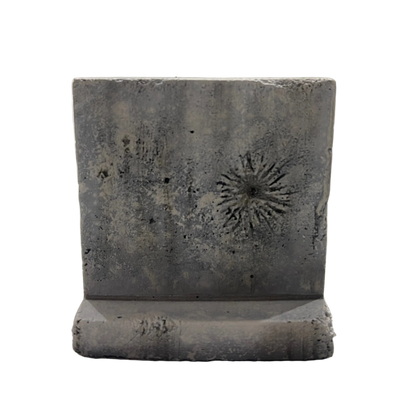 Texas T Barriers Battle Damage Set -1/48