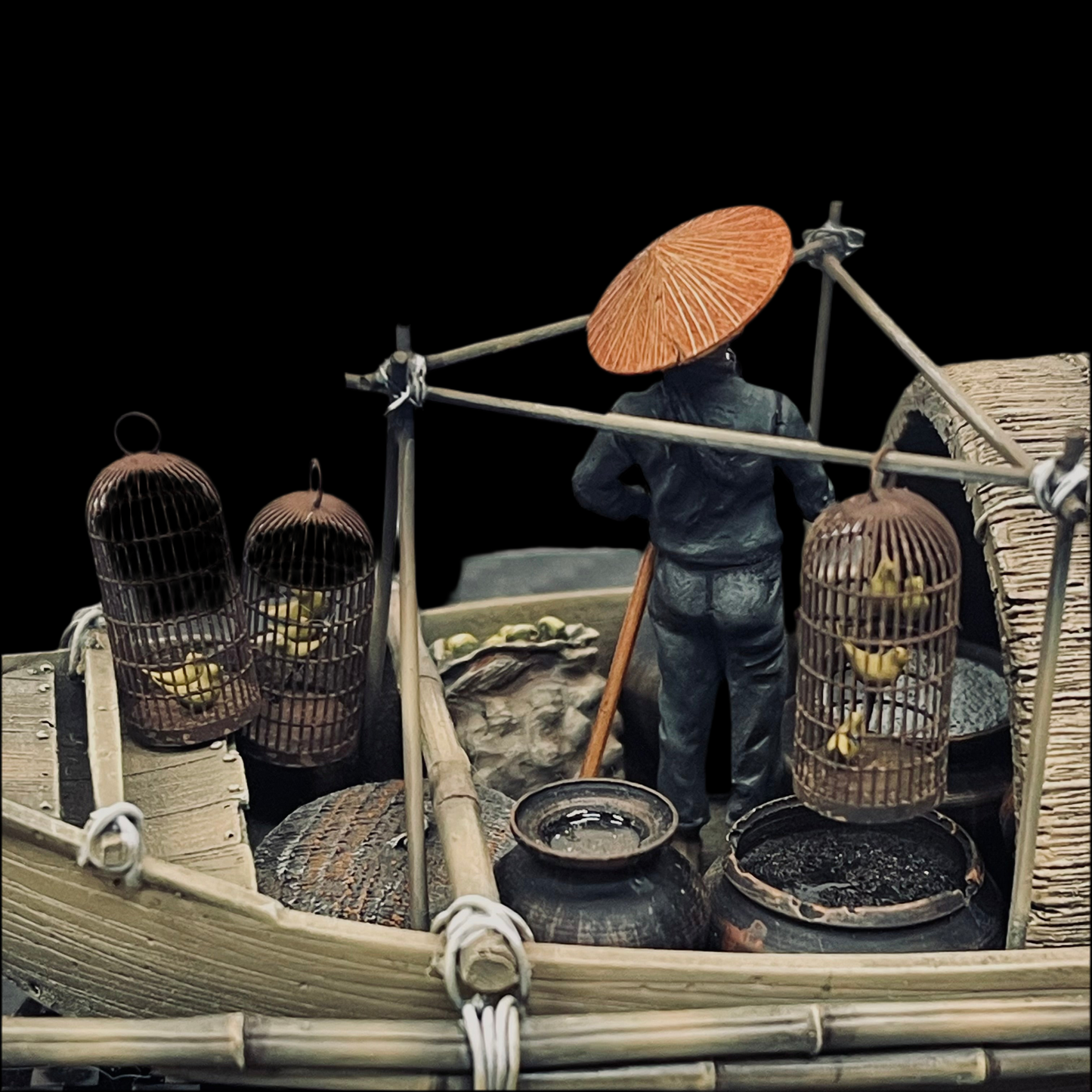 Vietnamese Singing Birds in Cages - 1/35