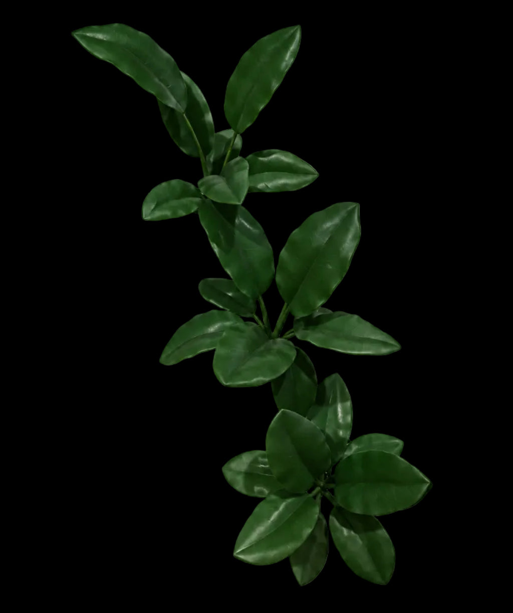 Jungle Plant Set