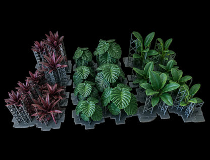 Jungle Plant Set