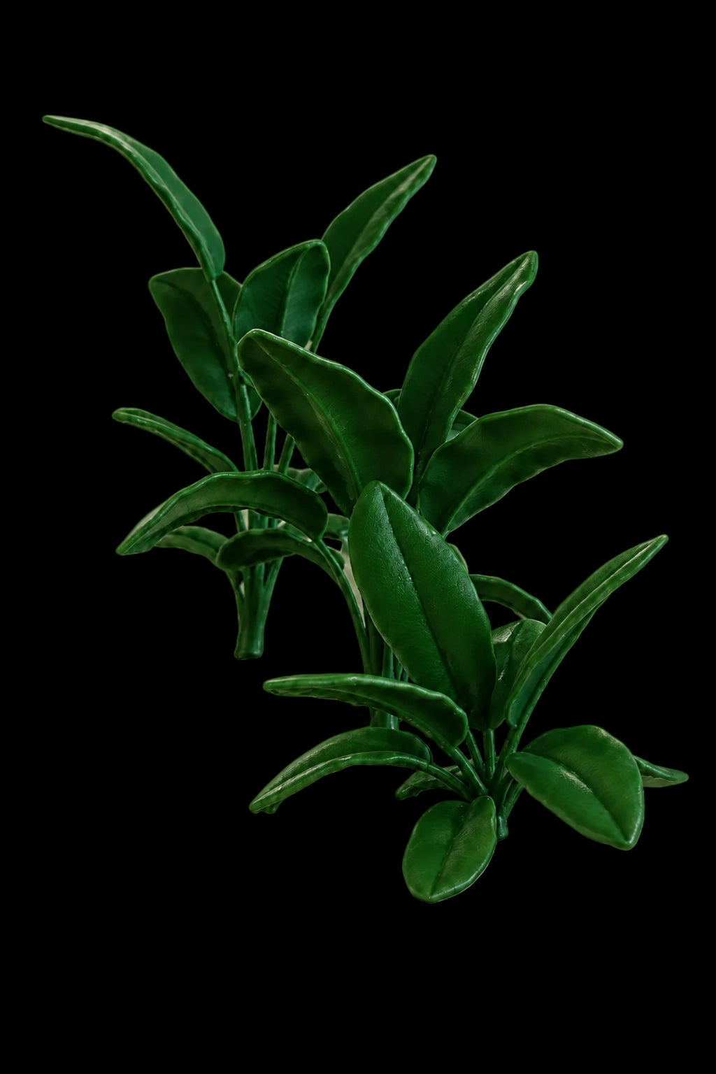 Jungle Plant Set